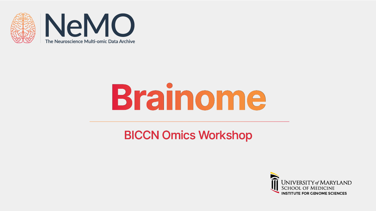 Brainome